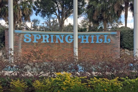 SPRING HILL sobre plano en Spring Hill, Florida № 208175 - foto 1