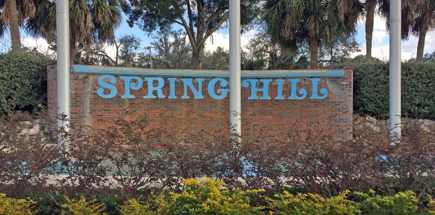 SPRING HILL sobre plano en Spring Hill, Florida № 208175