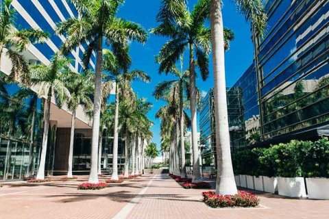 Se espera una fuerte caída en el mercado inmobiliario de Miami