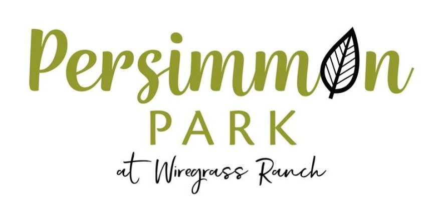 Persimmon Park - Cottage Series sobre plano en Wesley Chapel, Florida № 364491