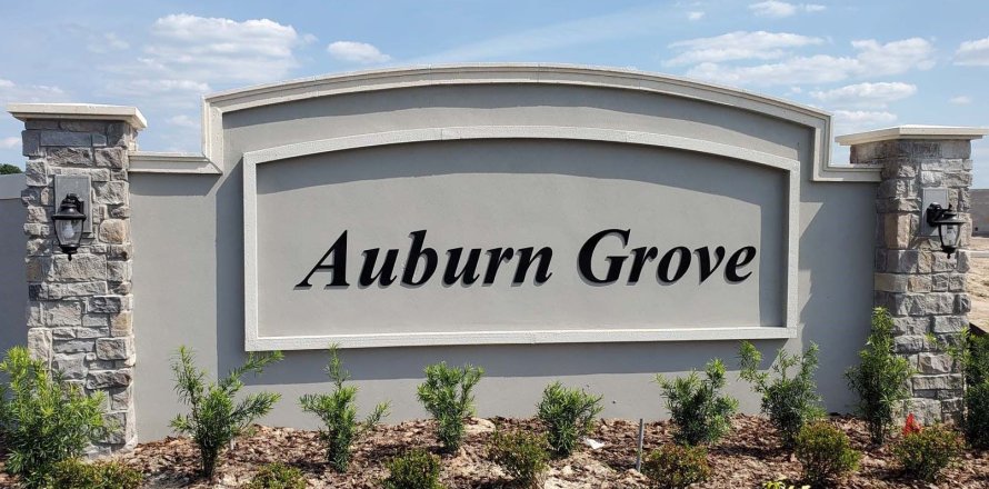 Auburn Grove by D.R. Horton in Auburndale, Florida № 344024