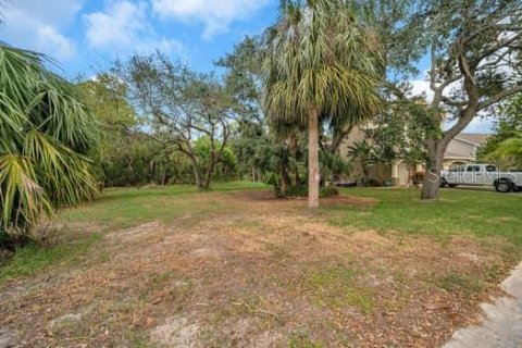 Land in New Port Richey, Florida № 1298082 - photo 3