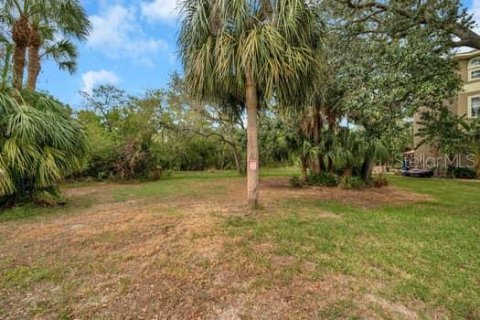 Terrain à vendre à New Port Richey, Floride № 1298082 - photo 20