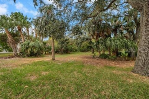 Land in New Port Richey, Florida № 1298082 - photo 2