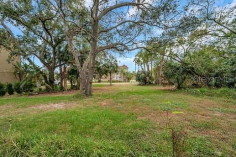 Land in New Port Richey, Florida № 1298082 - photo 22