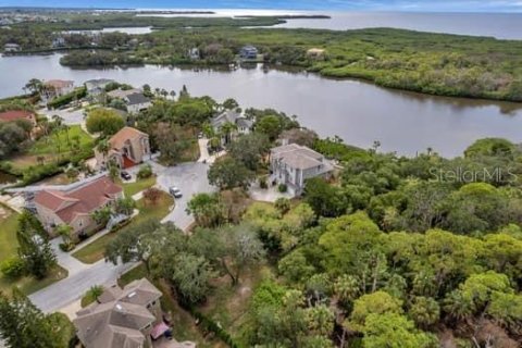 Land in New Port Richey, Florida № 1298082 - photo 11