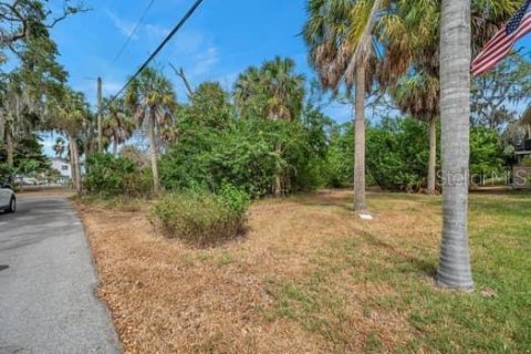 Terreno en venta en Port Richey, Florida № 1298083 - foto 6