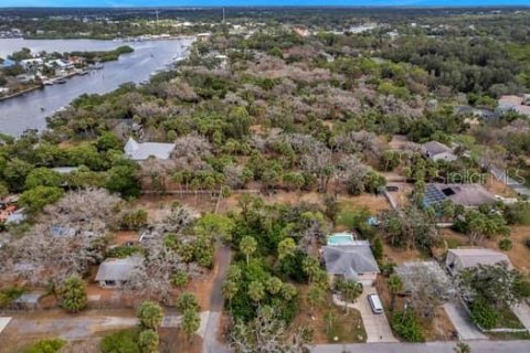 Land in Port Richey, Florida № 1298083 - photo 16