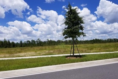 Terrain à vendre à Orlando, Floride № 213611 - photo 1