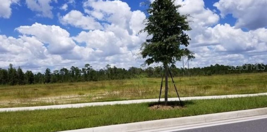 Land in Orlando, Florida № 213611