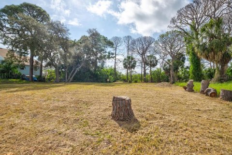 Terreno en venta en Tarpon Springs, Florida № 1364368 - foto 21