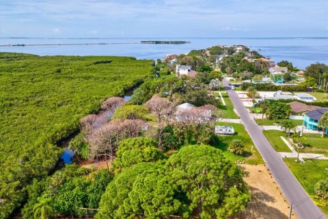 Land in Tarpon Springs, Florida № 1364368 - photo 30