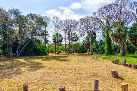 Land in Tarpon Springs, Florida № 1364368 - photo 19