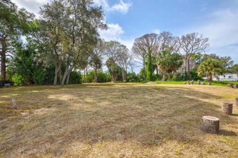 Terreno en venta en Tarpon Springs, Florida № 1364368 - foto 20