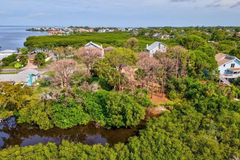 Land in Tarpon Springs, Florida № 1364368 - photo 29