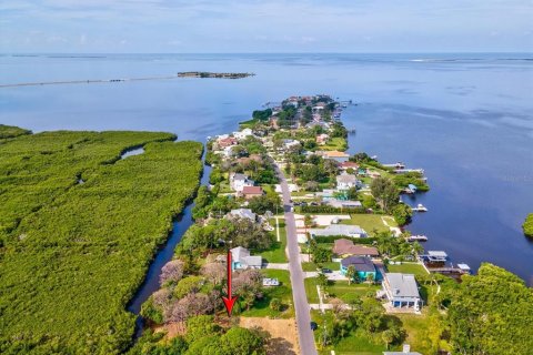 Terreno en venta en Tarpon Springs, Florida № 1364368 - foto 25