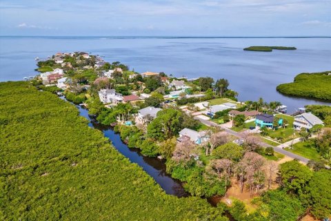 Terreno en venta en Tarpon Springs, Florida № 1364368 - foto 4