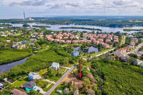 Terreno en venta en Tarpon Springs, Florida № 1364368 - foto 27