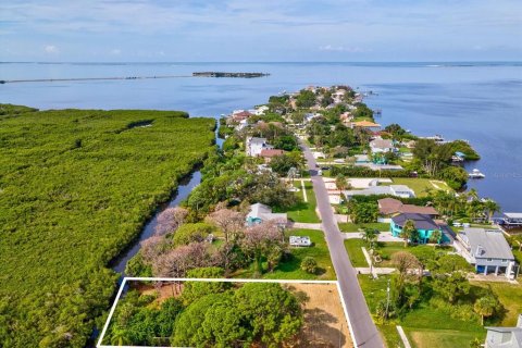 Land in Tarpon Springs, Florida № 1364368 - photo 2