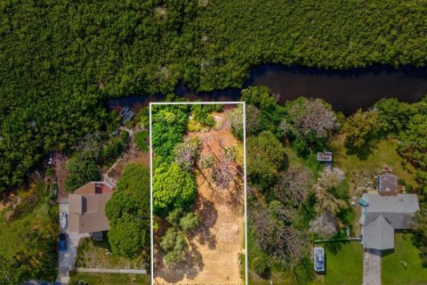 Terreno en venta en Tarpon Springs, Florida № 1364368 - foto 22