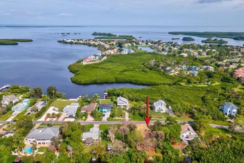 Land in Tarpon Springs, Florida № 1364368 - photo 26