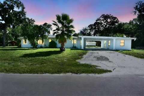 Immobilier commercial à vendre à New Port Richey, Floride: 387.03 m2 № 1382926 - photo 1