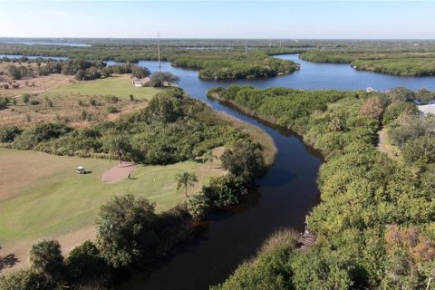 Land in Punta Gorda, Florida № 213575 - photo 11