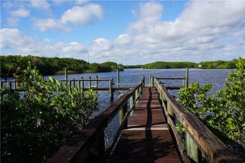 Land in Punta Gorda, Florida № 213575 - photo 26