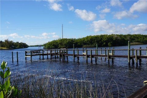 Land in Punta Gorda, Florida № 213575 - photo 27