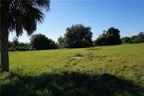 Купить земельный участок в Пунта-Горда, Флорида № 213575 - фото 13