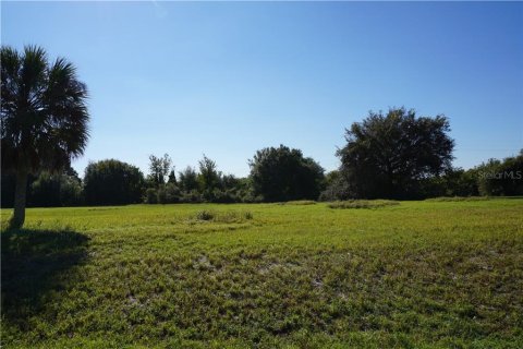Купить земельный участок в Пунта-Горда, Флорида № 213575 - фото 10