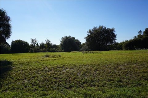 Купить земельный участок в Пунта-Горда, Флорида № 213575 - фото 8