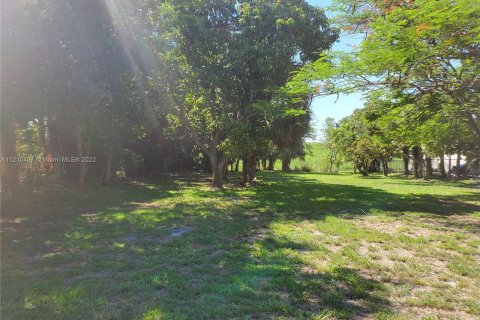 Land in Pahokee, Florida № 5736 - photo 8
