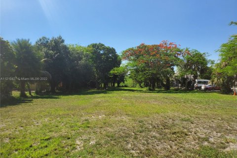 Land in Pahokee, Florida № 5736 - photo 1