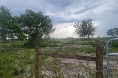 Купить земельный участок в Окичоби, Флорида № 1080594 - фото 2