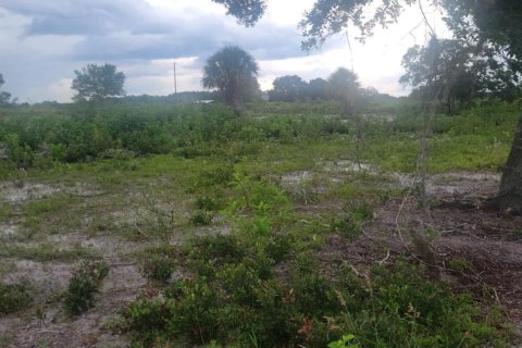 Купить земельный участок в Окичоби, Флорида № 1080594 - фото 1