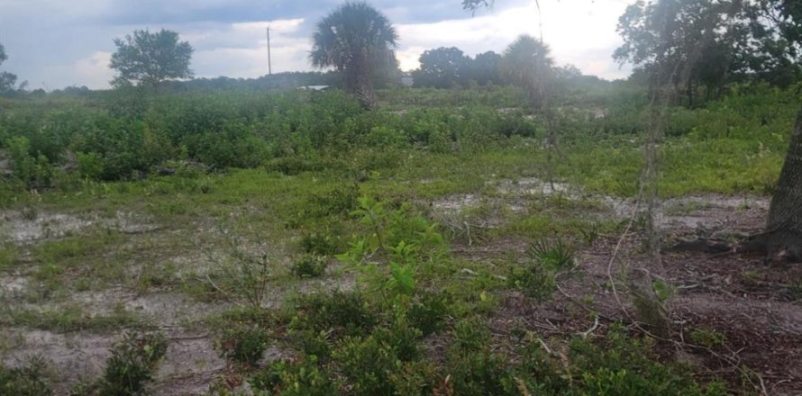 Земельный участок в Окичоби, Флорида № 1080594