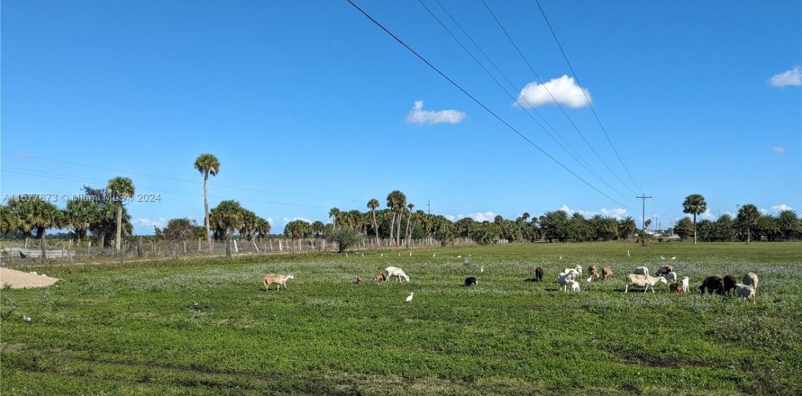 Villa ou maison à Clewiston, Floride 3 chambres № 1162464