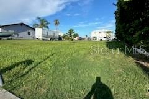 Land in Hernando Beach, Florida № 1373662 - photo 3