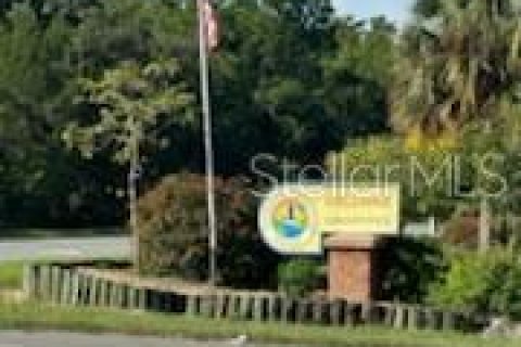 Land in Hernando Beach, Florida № 1373662 - photo 6