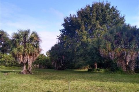 Terrain à vendre à Rotonda, Floride № 1003376 - photo 6