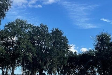 Land in Astatula, Florida № 1314401 - photo 12