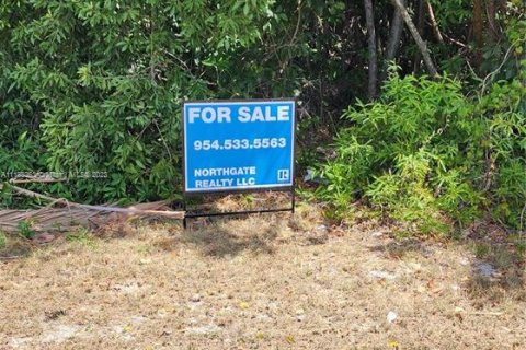 Terreno en venta en Key Largo, Florida № 2937 - foto 2