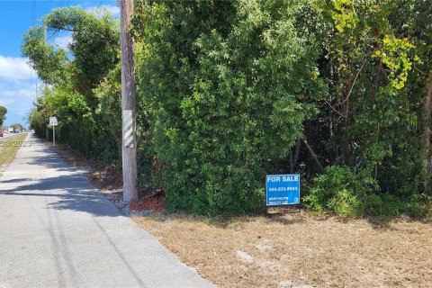 Купить земельный участок в Ки-Ларго, Флорида № 2937 - фото 4