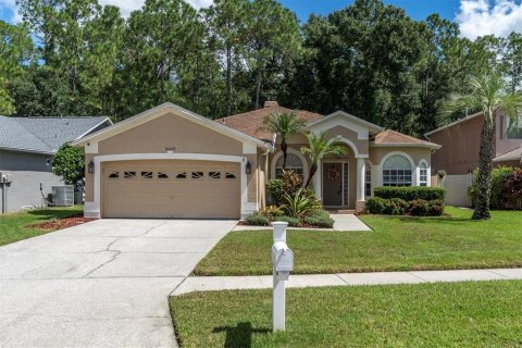 Villa ou maison à vendre à Odessa, Floride: 4 chambres, 175.49 m2 № 1379518 - photo 1