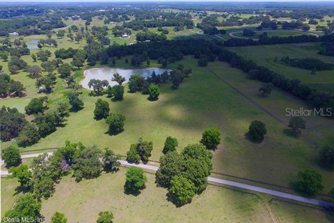 Land in Ocala, Florida № 213242 - photo 7