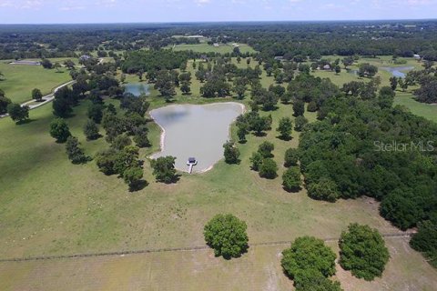 Land in Ocala, Florida № 213242 - photo 11