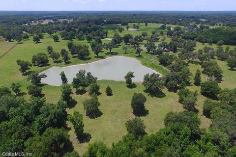 Land in Ocala, Florida № 213242 - photo 9