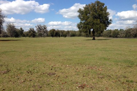 Terrain à vendre à Ocala, Floride № 213242 - photo 3