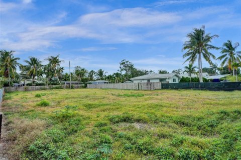 Land in Oakland Park, Florida № 956394 - photo 17